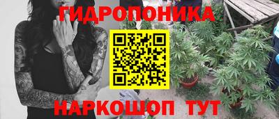 спиды Заволжье