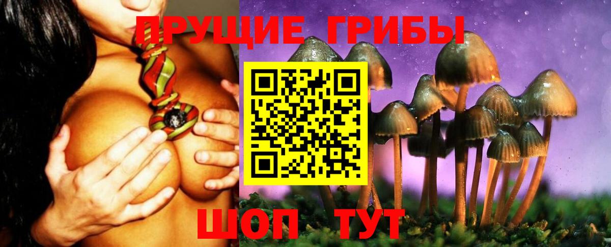 Псилоцибиновые грибы GOLDEN TEACHER Ливны
